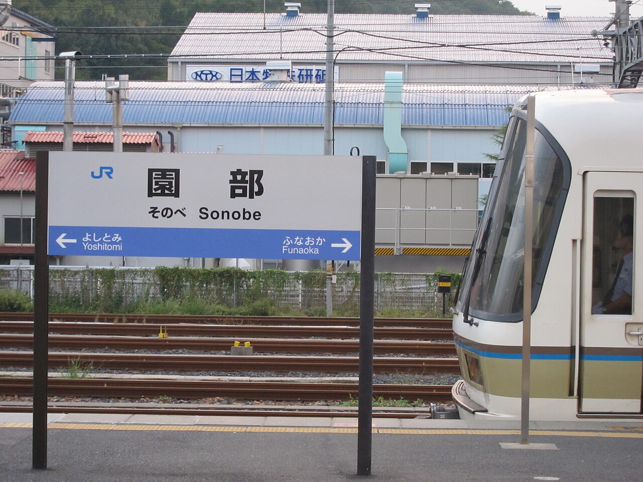 Sonobe City Bike Rental 3