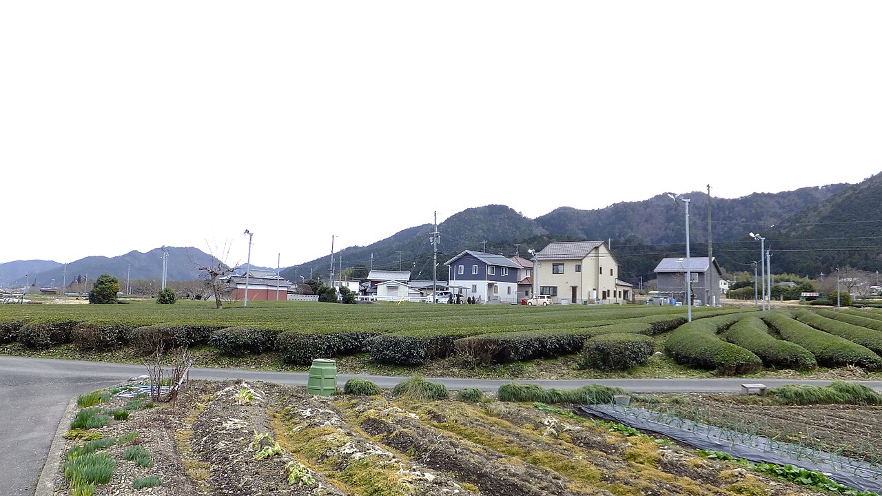 Tanba Sasayama — City Hall Jōtō Branch 2
